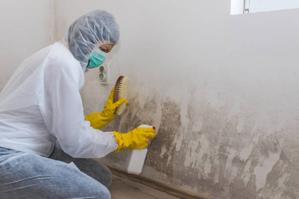 Best Post-Remediation Verification Testing  in Harper, TX