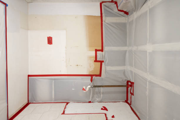 Mold Remediation for Rental Properties in Harper, TX