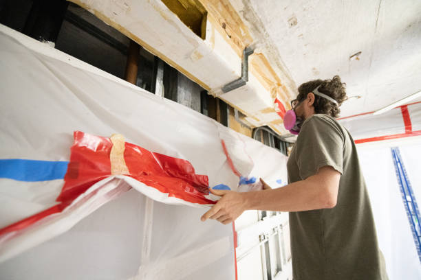 Best Mold Remediation for Rental Properties  in Harper, TX